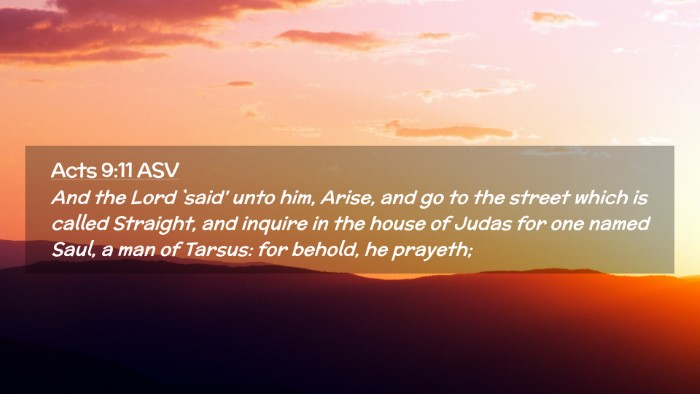 Picture 02 - Acts 9:11 ASV Desktop Wallpaper - And the Lord `said' unto him, Arise, and go to - Desktop Bible Verse Wallpaper