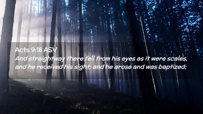 Picture 02 - Acts 9:18 ASV Desktop Wallpaper - And straightway there fell from his eyes as it - Desktop Bible Verse Wallpaper