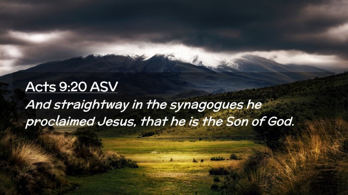 Picture 02 - Acts 9:20 ASV Desktop Wallpaper - And straightway in the synagogues he proclaimed - Desktop Bible Verse Wallpaper