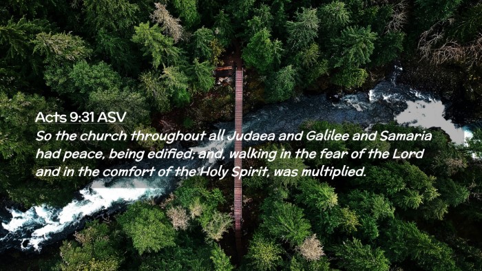 Picture 02 - Acts 9:31 ASV Desktop Wallpaper - So the church throughout all Judaea and Galilee - Desktop Bible Verse Wallpaper