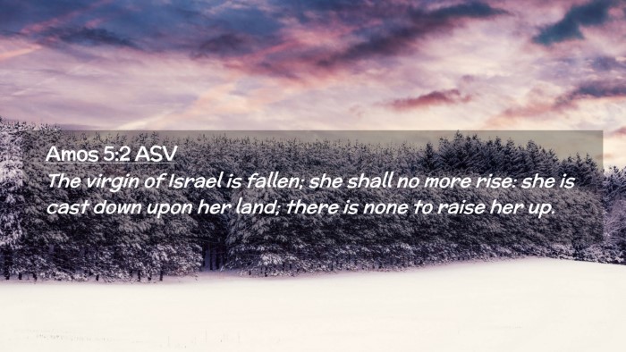 Picture 02 - Amos 5:2 ASV Desktop Wallpaper - The virgin of Israel is fallen; she shall no more - Desktop Bible Verse Wallpaper