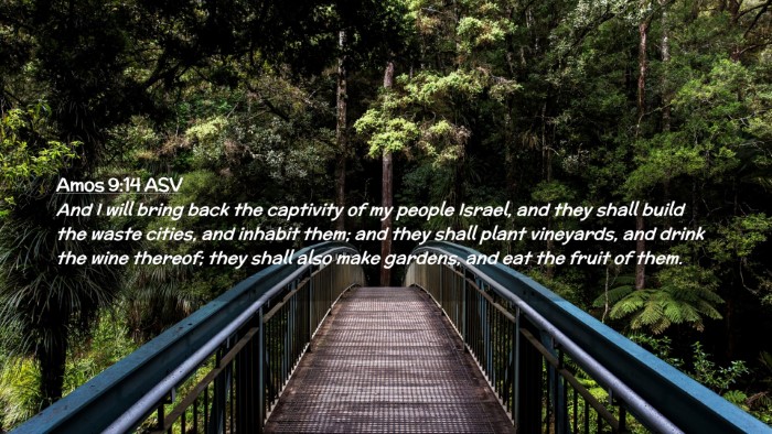 Picture 02 - Amos 9:14 ASV Desktop Wallpaper - And I will bring back the captivity of my people - Desktop Bible Verse Wallpaper