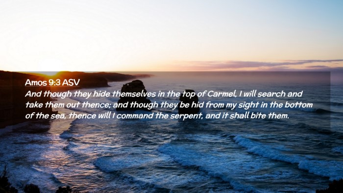 Picture 02 - Amos 9:3 ASV Desktop Wallpaper - And though they hide themselves in the top of - Desktop Bible Verse Wallpaper