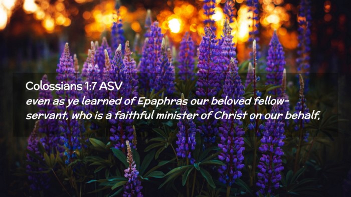 Picture 02 - Colossians 1:7 ASV Desktop Wallpaper - even as ye learned of Epaphras our beloved - Desktop Bible Verse Wallpaper