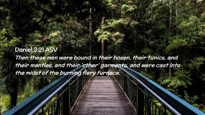 Picture 02 - Daniel 3:21 ASV Desktop Wallpaper - Then these men were bound in their hosen, their - Desktop Bible Verse Wallpaper