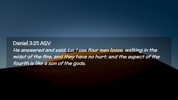 Picture 02 - Daniel 3:25 ASV Desktop Wallpaper - He answered and said, Lo, I see four men loose, - Desktop Bible Verse Wallpaper