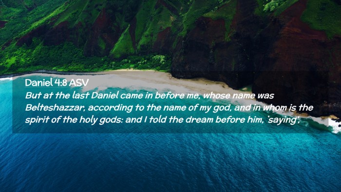 Picture 02 - Daniel 4:8 ASV Desktop Wallpaper - But at the last Daniel came in before me, whose - Desktop Bible Verse Wallpaper