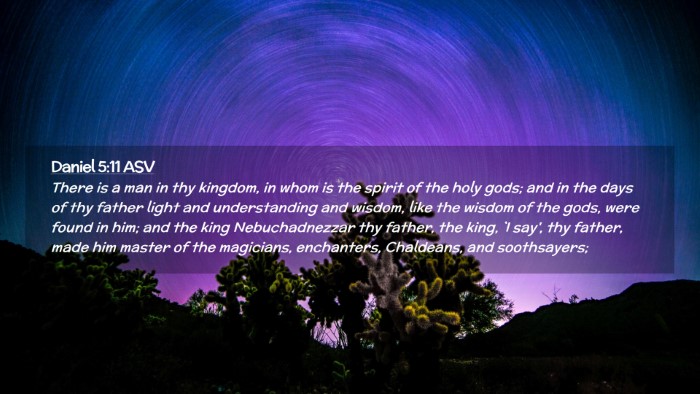 Picture 02 - Daniel 5:11 ASV Desktop Wallpaper - There is a man in thy kingdom, in whom is the - Desktop Bible Verse Wallpaper