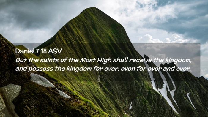 Picture 02 - Daniel 7:18 ASV Desktop Wallpaper - But the saints of the Most High shall receive the - Desktop Bible Verse Wallpaper