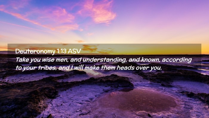 Picture 02 - Deuteronomy 1:13 ASV Desktop Wallpaper - Take you wise men, and understanding, and known, - Desktop Bible Verse Wallpaper