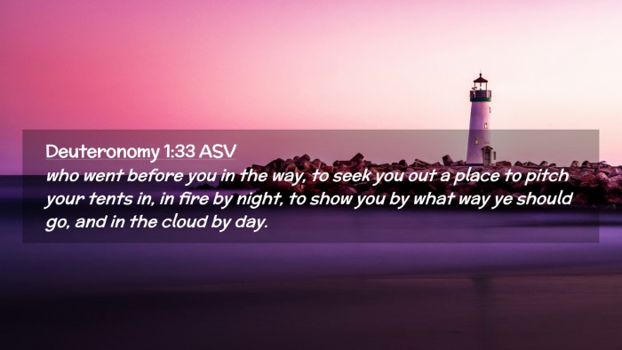 Picture 02 - Deuteronomy 1:33 ASV Desktop Wallpaper - who went before you in the way, to seek you out a - Desktop Bible Verse Wallpaper