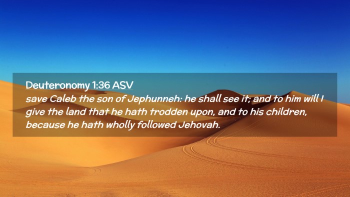 Picture 02 - Deuteronomy 1:36 ASV Desktop Wallpaper - save Caleb the son of Jephunneh: he shall see it; - Desktop Bible Verse Wallpaper