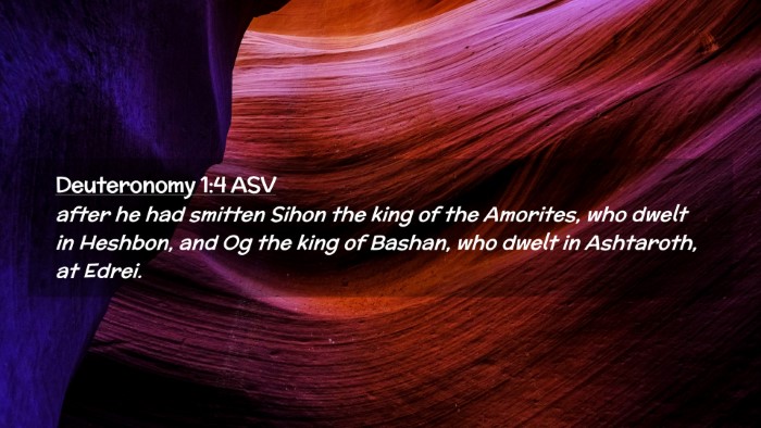 Picture 02 - Deuteronomy 1:4 ASV Desktop Wallpaper - after he had smitten Sihon the king of the - Desktop Bible Verse Wallpaper