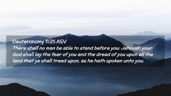 Picture 02 - Deuteronomy 11:25 ASV Desktop Wallpaper - There shall no man be able to stand before you: - Desktop Bible Verse Wallpaper