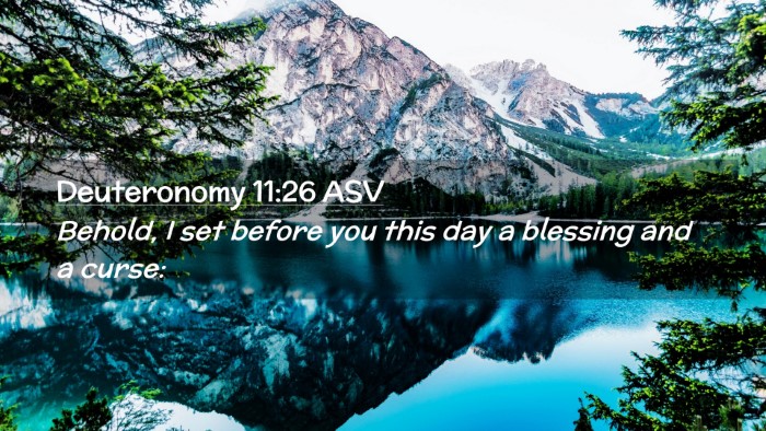 Picture 02 - Deuteronomy 11:26 ASV Desktop Wallpaper - Behold, I set before you this day a blessing and - Desktop Bible Verse Wallpaper