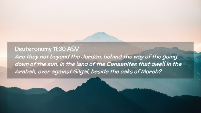 Picture 02 - Deuteronomy 11:30 ASV Desktop Wallpaper - Are they not beyond the Jordan, behind the way of - Desktop Bible Verse Wallpaper
