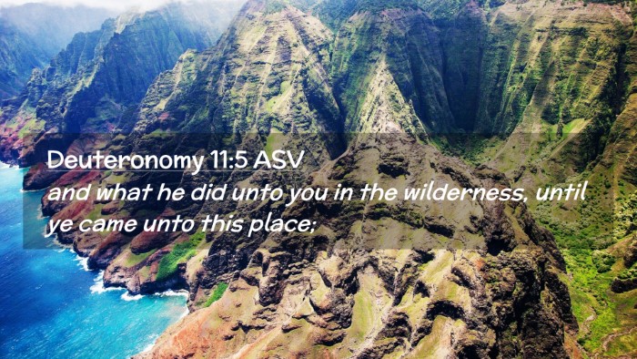 Picture 02 - Deuteronomy 11:5 ASV Desktop Wallpaper - and what he did unto you in the wilderness, until - Desktop Bible Verse Wallpaper