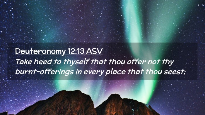 Picture 02 - Deuteronomy 12:13 ASV Desktop Wallpaper - Take heed to thyself that thou offer not thy - Desktop Bible Verse Wallpaper