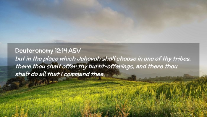 Picture 02 - Deuteronomy 12:14 ASV Desktop Wallpaper - but in the place which Jehovah shall choose in - Desktop Bible Verse Wallpaper