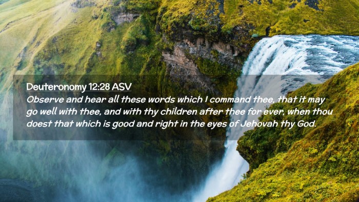 Picture 02 - Deuteronomy 12:28 ASV Desktop Wallpaper - Observe and hear all these words which I command - Desktop Bible Verse Wallpaper