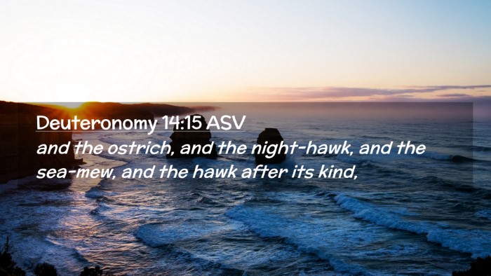 Picture 02 - Deuteronomy 14:15 ASV Desktop Wallpaper - and the ostrich, and the night-hawk, and the - Desktop Bible Verse Wallpaper