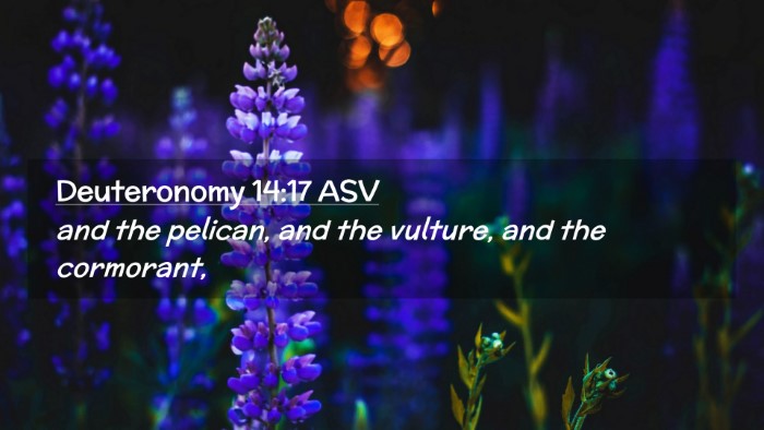 Picture 02 - Deuteronomy 14:17 ASV Desktop Wallpaper - and the pelican, and the vulture, and the - Desktop Bible Verse Wallpaper
