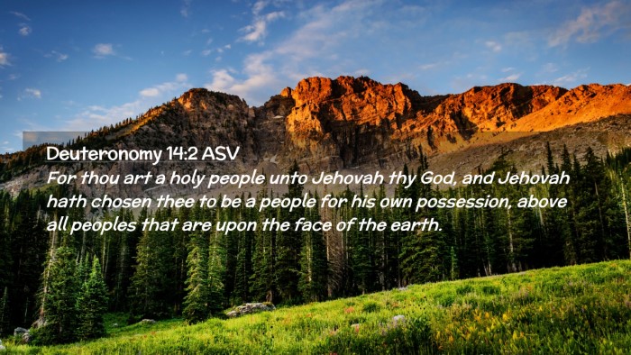 Picture 02 - Deuteronomy 14:2 ASV Desktop Wallpaper - For thou art a holy people unto Jehovah thy God, - Desktop Bible Verse Wallpaper