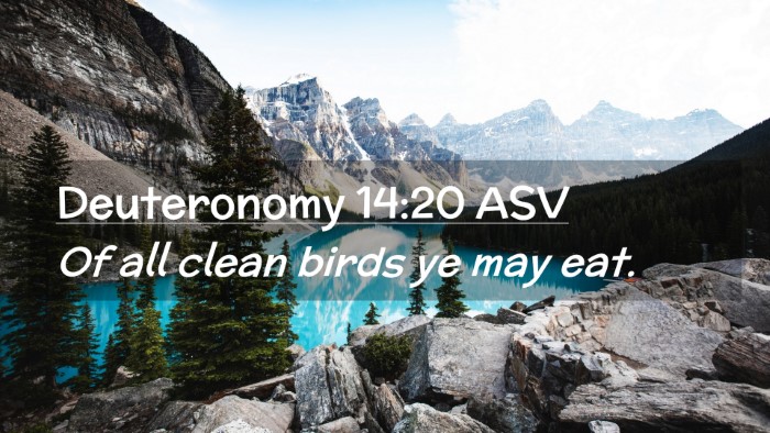 Picture 02 - Deuteronomy 14:20 ASV Desktop Wallpaper - Of all clean birds ye may - Desktop Bible Verse Wallpaper