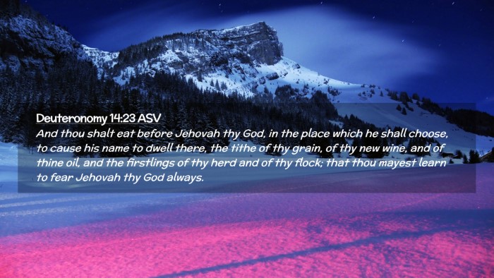 Picture 02 - Deuteronomy 14:23 ASV Desktop Wallpaper - And thou shalt eat before Jehovah thy God, in the - Desktop Bible Verse Wallpaper