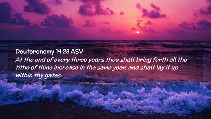 Picture 02 - Deuteronomy 14:28 ASV Desktop Wallpaper - At the end of every three years thou shalt bring - Desktop Bible Verse Wallpaper