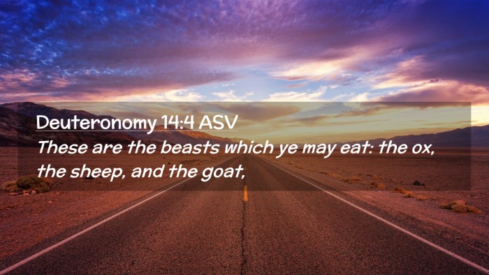 Picture 02 - Deuteronomy 14:4 ASV Desktop Wallpaper - These are the beasts which ye may eat: the ox, - Desktop Bible Verse Wallpaper