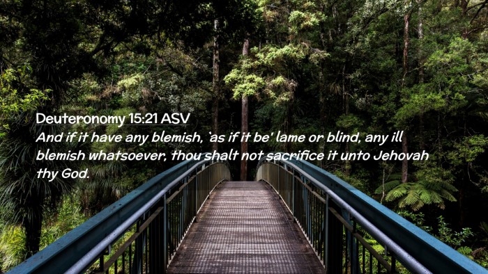 Picture 02 - Deuteronomy 15:21 ASV Desktop Wallpaper - And if it have any blemish, `as if it be' lame or - Desktop Bible Verse Wallpaper