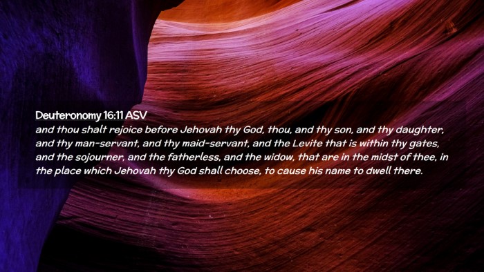 Picture 02 - Deuteronomy 16:11 ASV Desktop Wallpaper - and thou shalt rejoice before Jehovah thy God, - Desktop Bible Verse Wallpaper