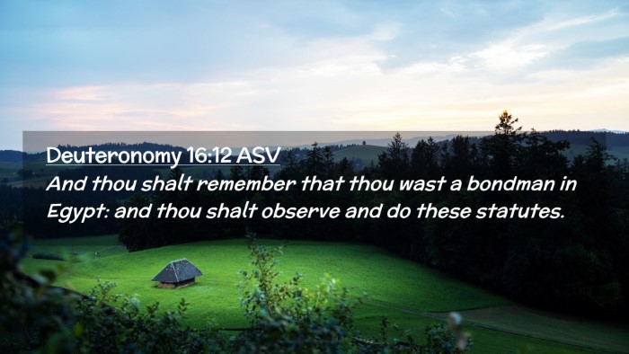 Picture 02 - Deuteronomy 16:12 ASV Desktop Wallpaper - And thou shalt remember that thou wast a bondman - Desktop Bible Verse Wallpaper