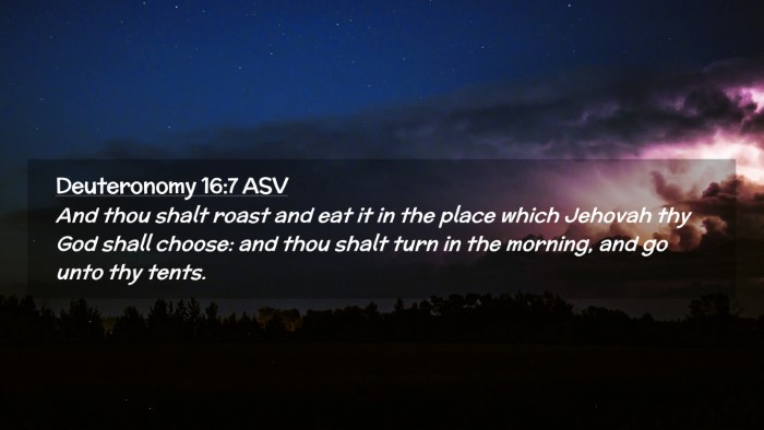 Picture 02 - Deuteronomy 16:7 ASV Desktop Wallpaper - And thou shalt roast and eat it in the place - Desktop Bible Verse Wallpaper