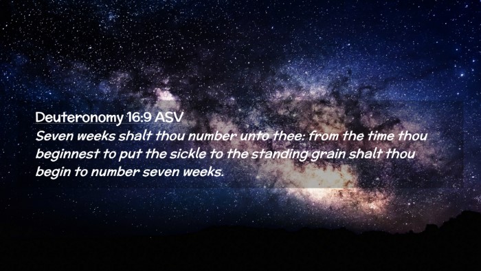 Picture 02 - Deuteronomy 16:9 ASV Desktop Wallpaper - Seven weeks shalt thou number unto thee: from the - Desktop Bible Verse Wallpaper