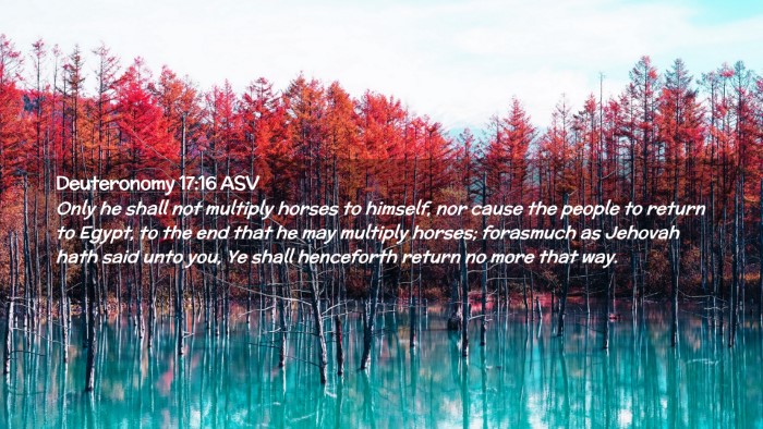 Picture 02 - Deuteronomy 17:16 ASV Desktop Wallpaper - Only he shall not multiply horses to himself, nor - Desktop Bible Verse Wallpaper