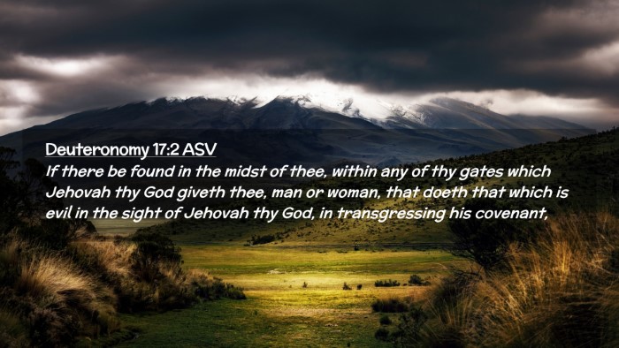 Picture 02 - Deuteronomy 17:2 ASV Desktop Wallpaper - If there be found in the midst of thee, within - Desktop Bible Verse Wallpaper