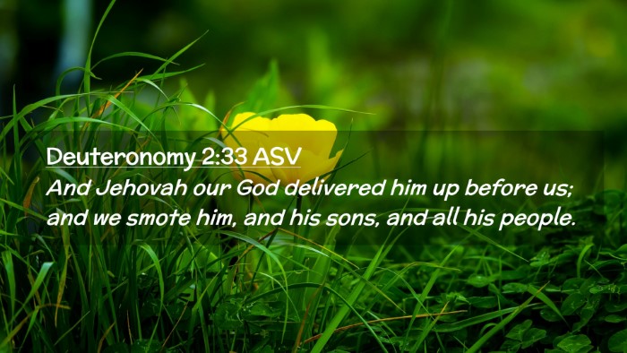 Picture 02 - Deuteronomy 2:33 ASV Desktop Wallpaper - And Jehovah our God delivered him up before us; - Desktop Bible Verse Wallpaper