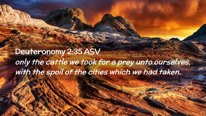 Picture 02 - Deuteronomy 2:35 ASV Desktop Wallpaper - only the cattle we took for a prey unto - Desktop Bible Verse Wallpaper