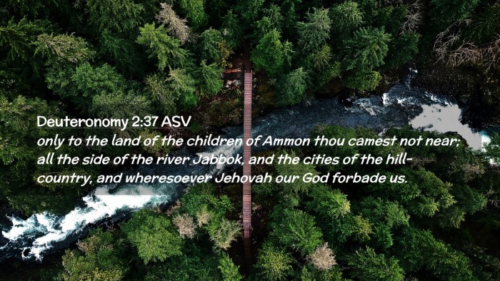 Picture 02 - Deuteronomy 2:37 ASV Desktop Wallpaper - only to the land of the children of Ammon thou - Desktop Bible Verse Wallpaper