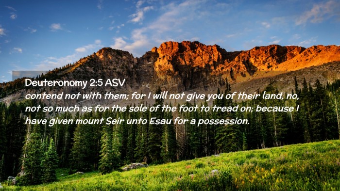 Picture 02 - Deuteronomy 2:5 ASV Desktop Wallpaper - contend not with them; for I will not give you of - Desktop Bible Verse Wallpaper