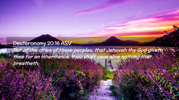 Picture 02 - Deuteronomy 20:16 ASV Desktop Wallpaper - But of the cities of these peoples, that Jehovah - Desktop Bible Verse Wallpaper