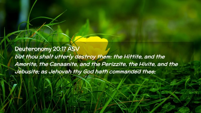 Picture 02 - Deuteronomy 20:17 ASV Desktop Wallpaper - but thou shalt utterly destroy them: the Hittite, - Desktop Bible Verse Wallpaper