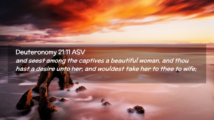 Picture 02 - Deuteronomy 21:11 ASV Desktop Wallpaper - and seest among the captives a beautiful woman, - Desktop Bible Verse Wallpaper