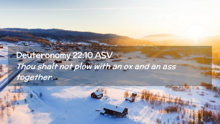 Picture 02 - Deuteronomy 22:10 ASV Desktop Wallpaper - Thou shalt not plow with an ox and an ass - Desktop Bible Verse Wallpaper