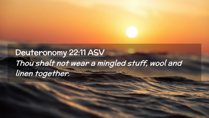 Picture 02 - Deuteronomy 22:11 ASV Desktop Wallpaper - Thou shalt not wear a mingled stuff, wool and - Desktop Bible Verse Wallpaper