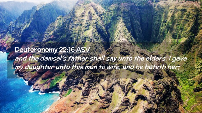 Picture 02 - Deuteronomy 22:16 ASV Desktop Wallpaper - and the damsel's father shall say unto the - Desktop Bible Verse Wallpaper