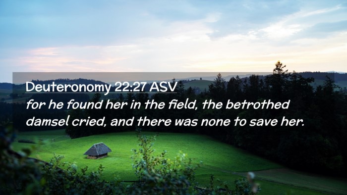 Picture 02 - Deuteronomy 22:27 ASV Desktop Wallpaper - for he found her in the field, the betrothed - Desktop Bible Verse Wallpaper