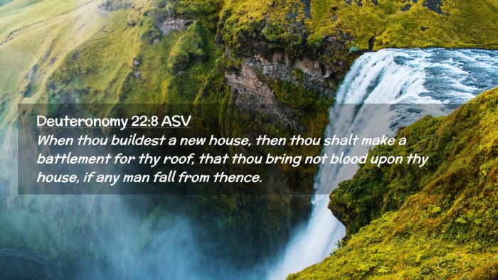 Picture 02 - Deuteronomy 22:8 ASV Desktop Wallpaper - When thou buildest a new house, then thou shalt - Desktop Bible Verse Wallpaper